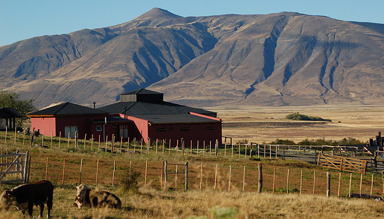 Wari-argentina-walking-7